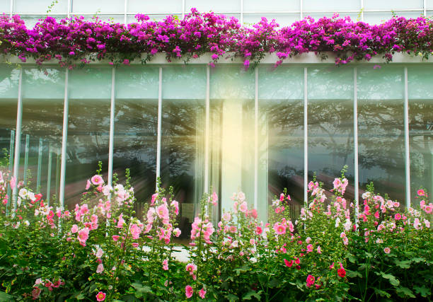 istock The building is beautifully decorated with flowers 656473344