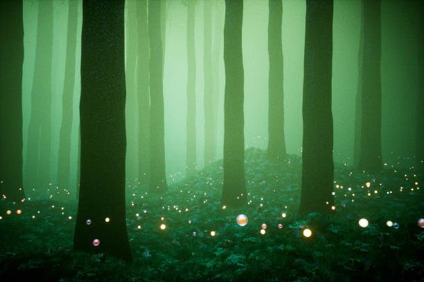istock Forest at night with mysterious glowing orbs 656479520