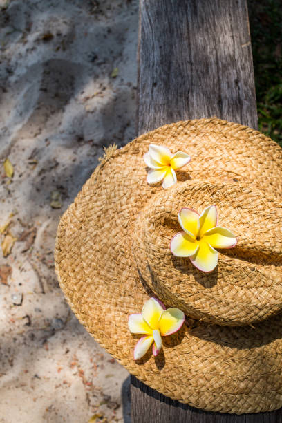 istock Hat in bougainvillea garden 656484184