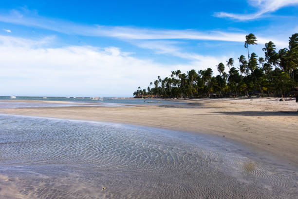 istock Carneiros Beach - Pernambuco, Brazil 656487104