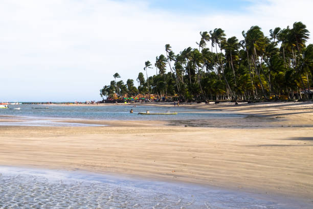 Carneiros Beach - Pernambuco, Brazil