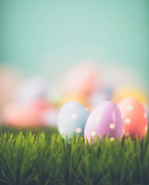 easter background with easter eggs and grass in pastel colors - easter egg easter grass spring imagens e fotografias de stock