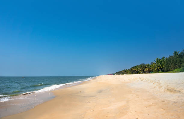 istock Summer exotic sandy beach Kerala 656508966