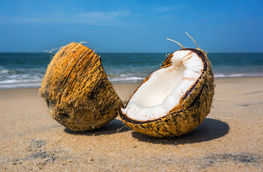 Tropical beach. Exotic background. Coconut with coconut milk on the beach untouched triopcal.