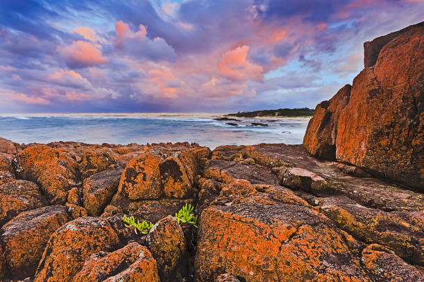 istock Sea Birubi Red rocks plant 656538096