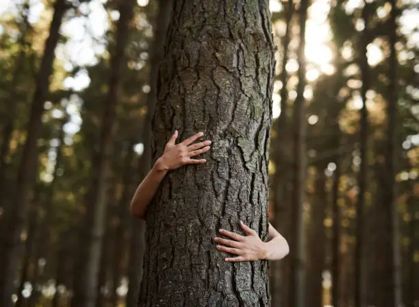 Shot of an unidentifiable young woman hugging a tree in the forest