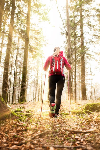 istock Young Active Woman Explore The Forest During Her Trekking 656546552
