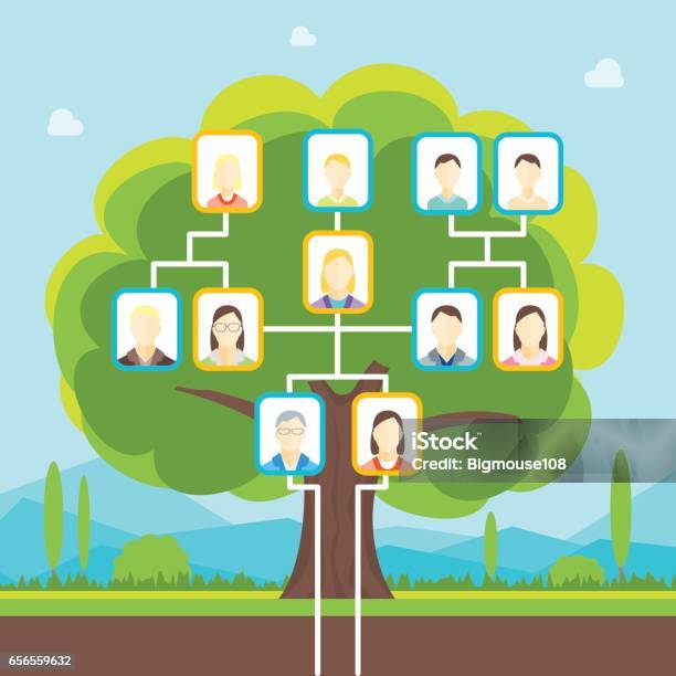 Arbre Généalogique De Dessin Animé Vector Vecteurs libres de droits et plus d'images vectorielles de Arbre généalogique - Arbre généalogique, Famille, Arbre