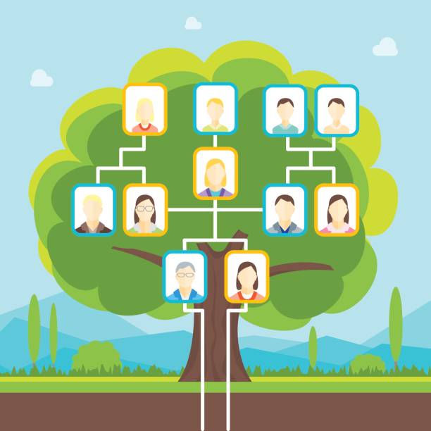 Cartoon Family Tree. Vector Cartoon Green Family Tree with Photo Concept of Genealogical History Flat Design Style. Vector illustration family tree stock illustrations