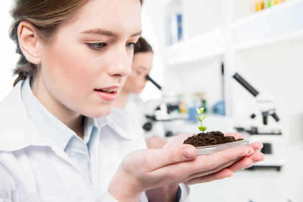 istock Female scientist with green plant 656563324