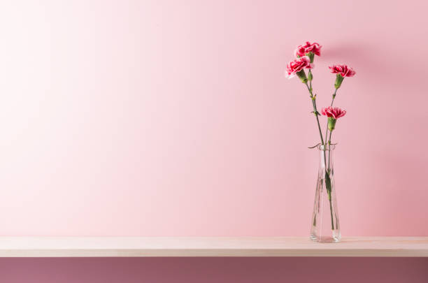 istock shelf accessories and pink walls 656567868