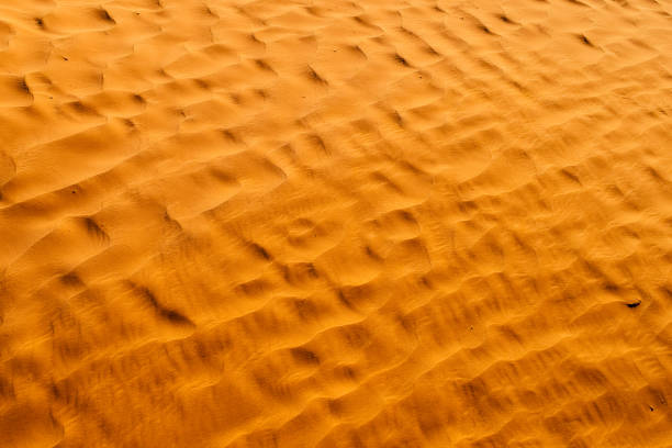 istock Beer color desert. Modern and contemporary wallpaper for interior design. Background and Texture 656571580