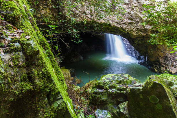 istock Natural Arch, Gold Coast. Australia 656574564