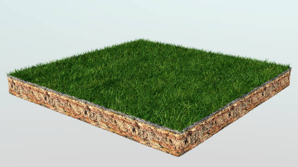 istock 3d of isometric cross section of ground with grass 656579128