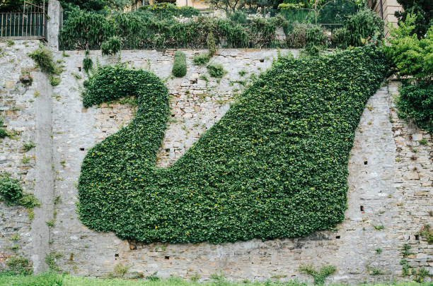 istock Green fresh swan shaped bush on old stone wall. Greenery in garden. 656579408