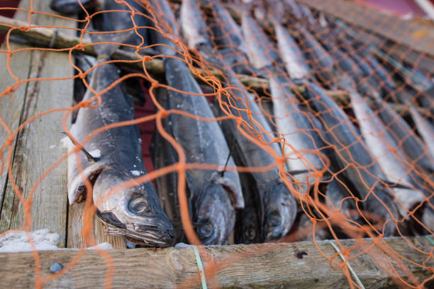 istock Dried salmon in Norway 656579812