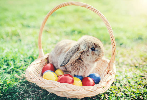 istock Colorful Easter eggs and bunny in the basket 656580088
