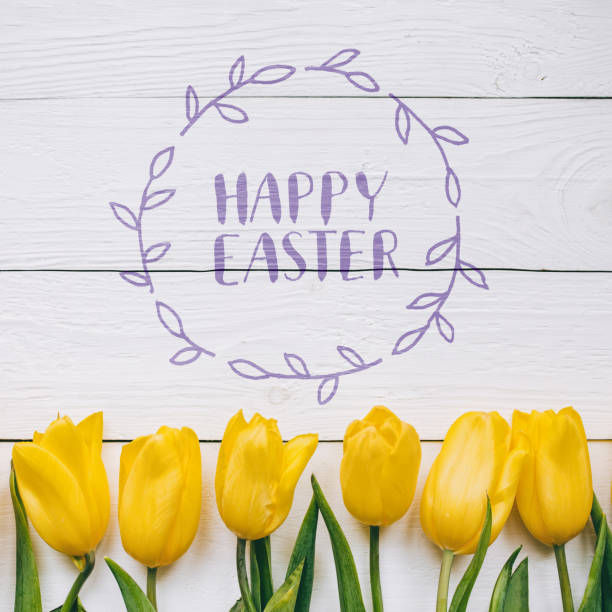 istock Happy Easter hand lettering calligraphy text. Yellow tulips bunch on white wooden planks rustic barn rural table background. Letters, inscription. Beautiful square flat lay postcard. 656582896