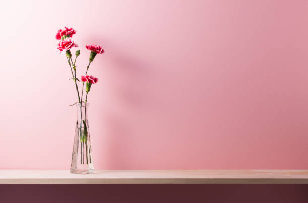 istock shelf accessories and pink walls 656588348