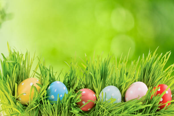 istock Row of Easter eggs in Fresh Green Grass 656592240