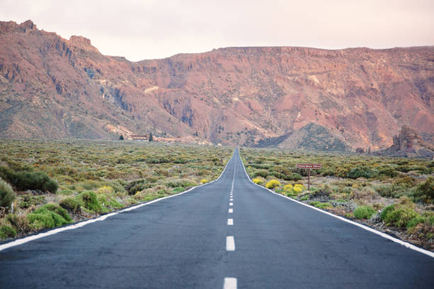istock Tenerife road landscape 656592926