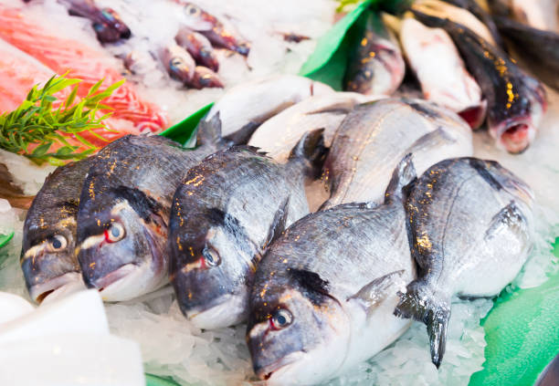 istock dorado on fish market 656600122