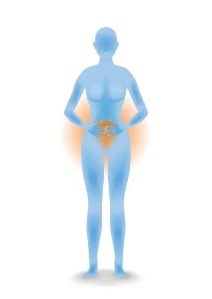 Vector illustration of woman body silhouette who hold belly in her arms, vector illustration