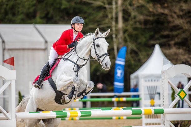 Show jumping Female horseback rider jumping over hurdle. horse jumping front stock pictures, royalty-free photos & images