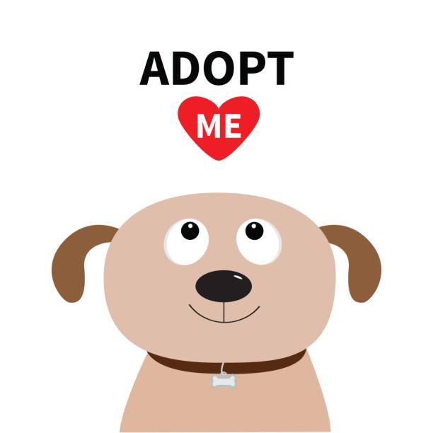 Adopt me. Dont buy. Dog face. Adopt me. Dont buy. Dog face. Pet adoption. Puppy pooch looking up to red heart. Flat design.  White background. Vector rescued dog stock illustrations