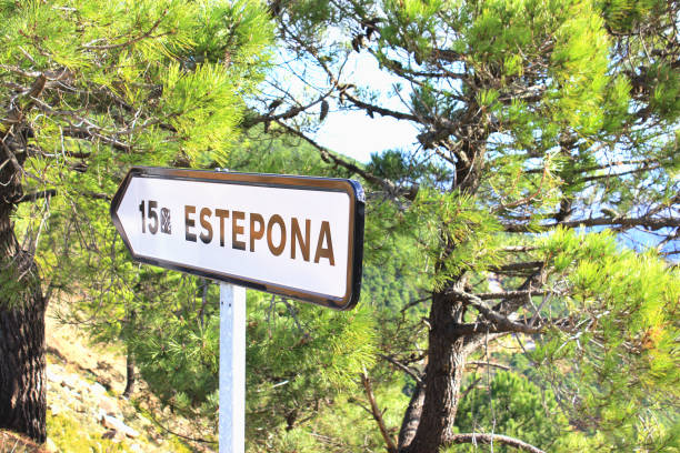 istock Sign post indicated estepona andalusian village 656619446