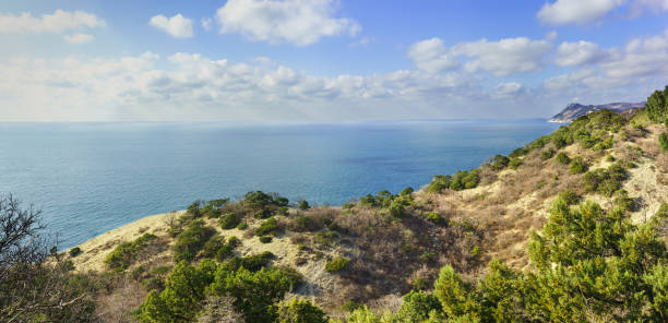 istock Overgrown with juniper slopes above the sea 656624220