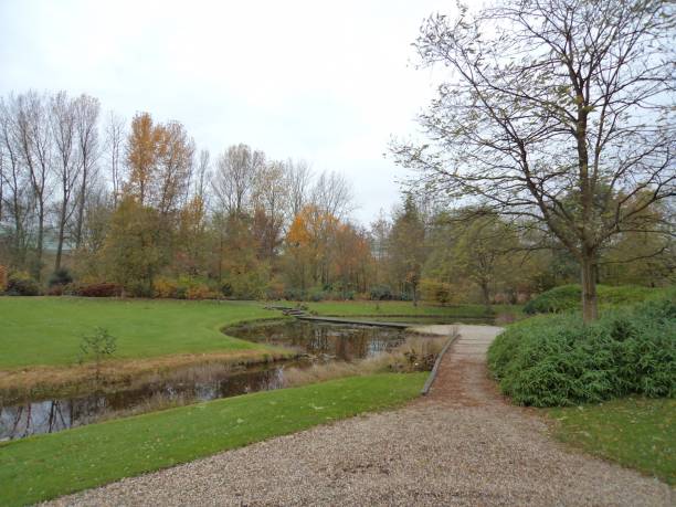 istock Beautiful trees in the park with river, nature view 656624730