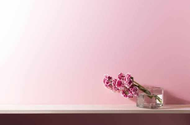 istock shelf accessories and pink walls 656624912