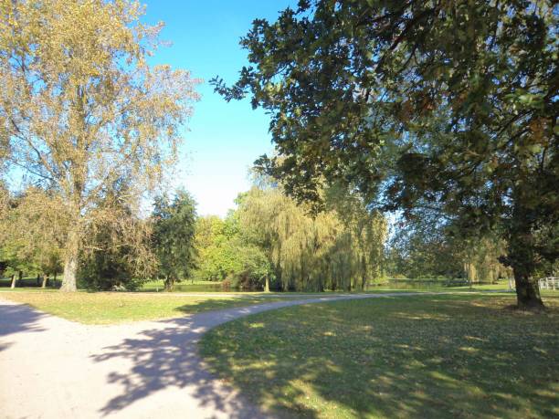 istock the way with trees, nature view 656627194