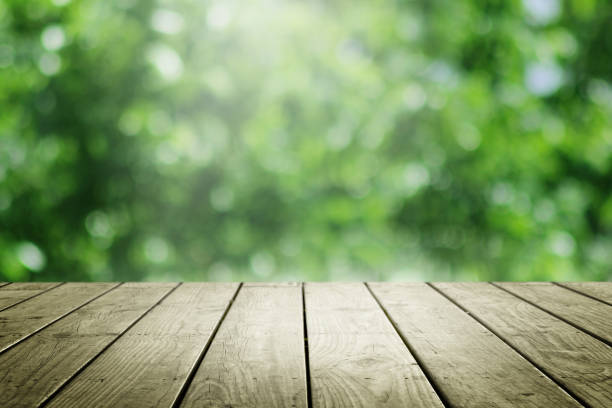 istock Empty wooden and blur green background. 656634634