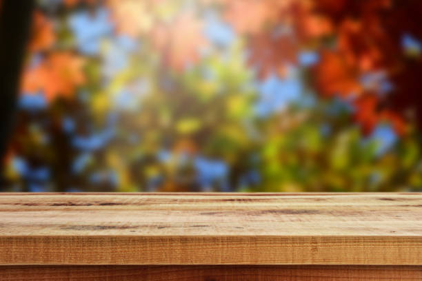 istock Wooden table and blur autumn forest background. 656639476
