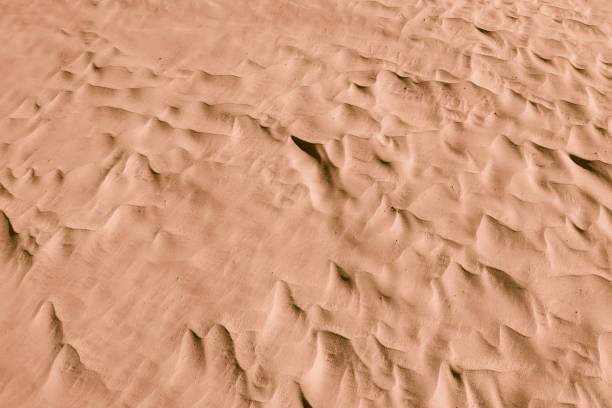 istock Camel color. Desert. Modern and contemporary wallpaper for interior design. Background and Texture 656642596