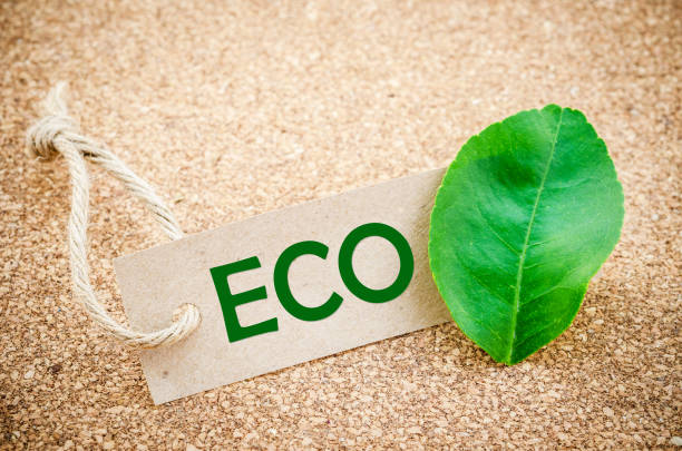 istock Eco word on to a cardboard label 656642820