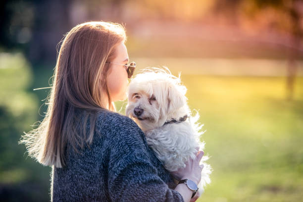 istock Girl with cute white dog 656650728