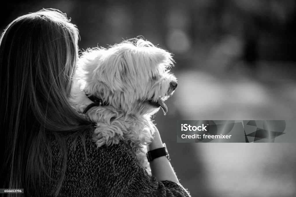 Me and dog in black and white Young blonde woman carries her maltese dog through the park on a sunny day Adult Stock Photo