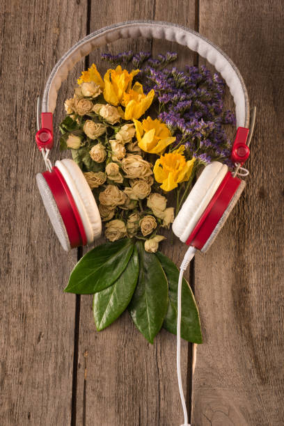 vista superior da composição floral da primavera com fones de ouvido e variedade de flores e folhas em mesa de madeira - dry leaves audio - fotografias e filmes do acervo