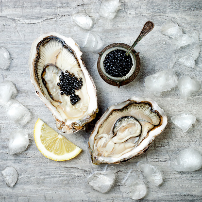 Abrir las ostras con caviar de esturión negro y limón sobre el hielo en el fondo de hormigón gris. Ponen la vista superior, plana, espacio de copia photo