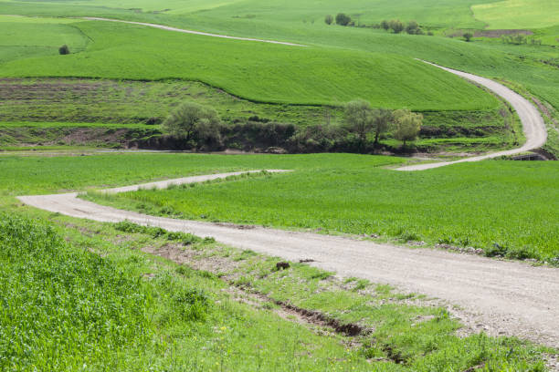 istock Winding Dirt Road On Rolling Landscape In Springtime 656662814