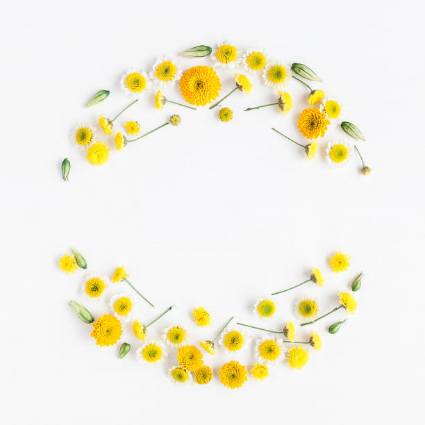 Wreath made of various yellow flowers on white background