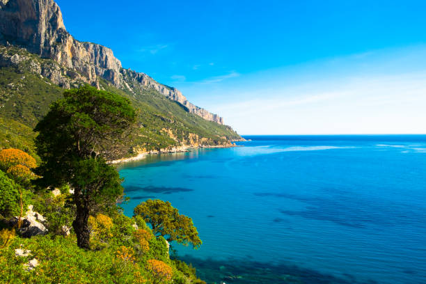 istock Beautiful Coastline and Sea in Sardinia 656667306