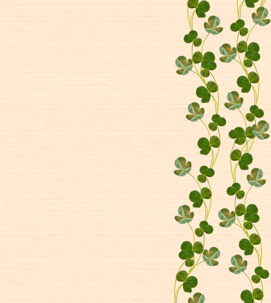 green clover leaves. St.Patrick 's Day.