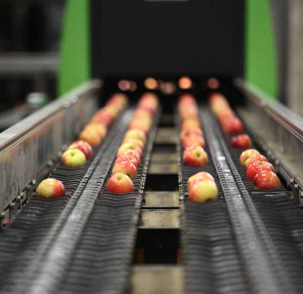 propres et fraîches pommes sur tapis roulant - mass storage photos et images de collection