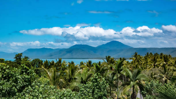 port douglas, north queensland, australia - cairns fotografías e imágenes de stock