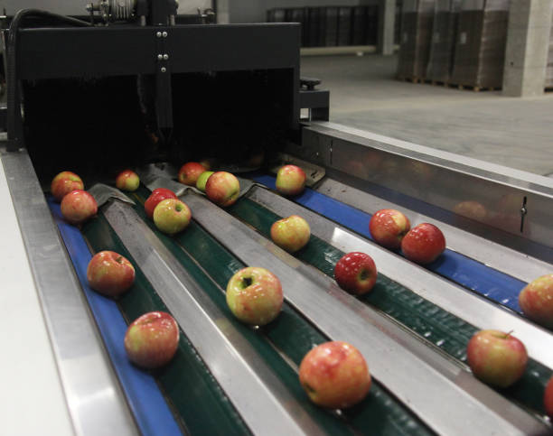 istock Clean and fresh apples on conveyor belt 656672676