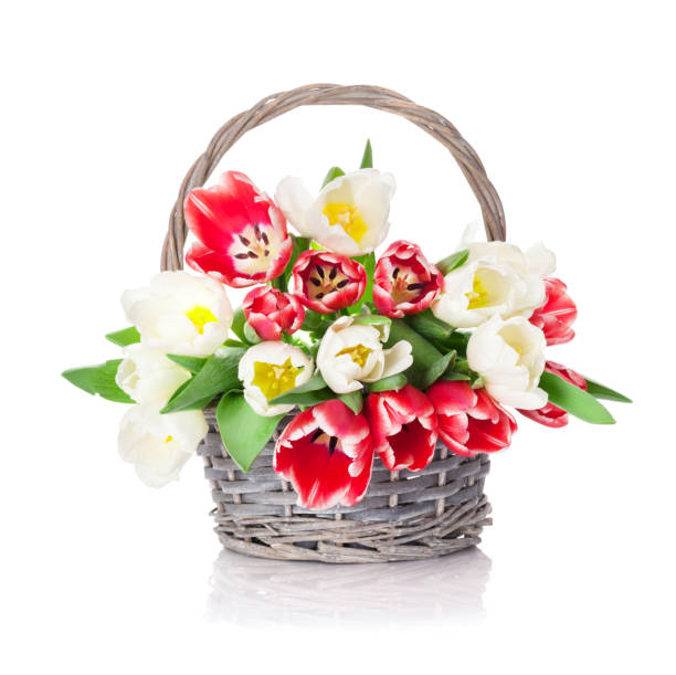 istock Colorful tulips bouquet basket 656674096